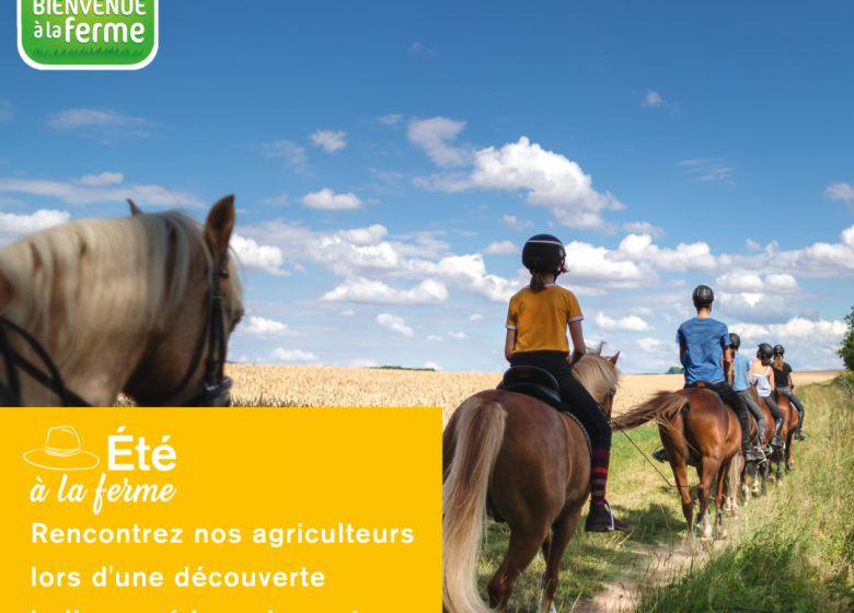 CET ÉTÉ À LA FERME – RAMASSEZ VOS POMMES DE TERRE