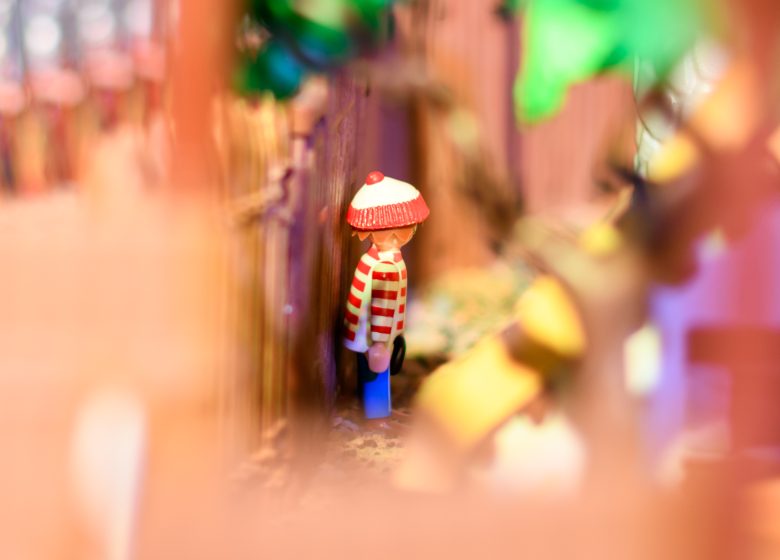 GRANDE EXPOSITION DE PLAYMOBIL®