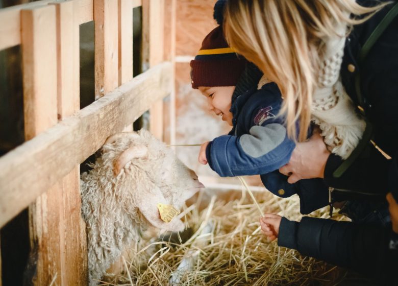 MARCHÉ DE NOËL À LA FERME