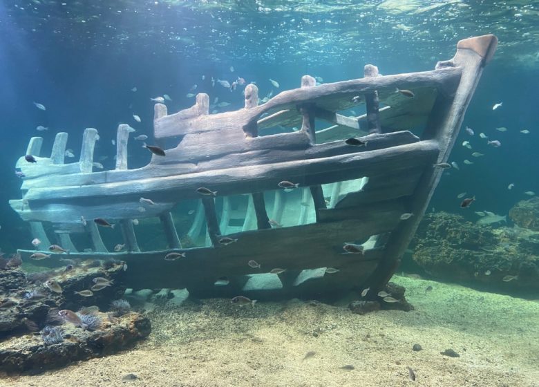 Aquarium de Vendée